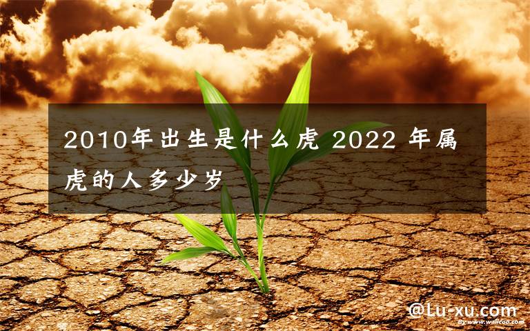 2010年出生是什么虎 2022 年属虎的人多少岁