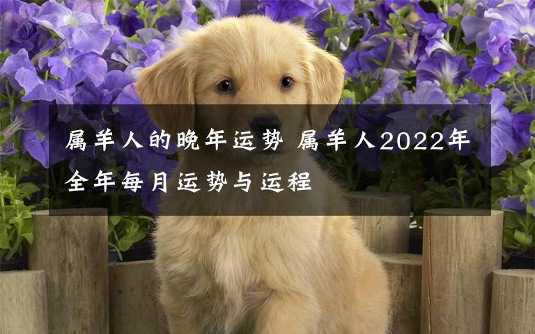 属羊人的晚年运势 属羊人2022年全年每月运势与运程