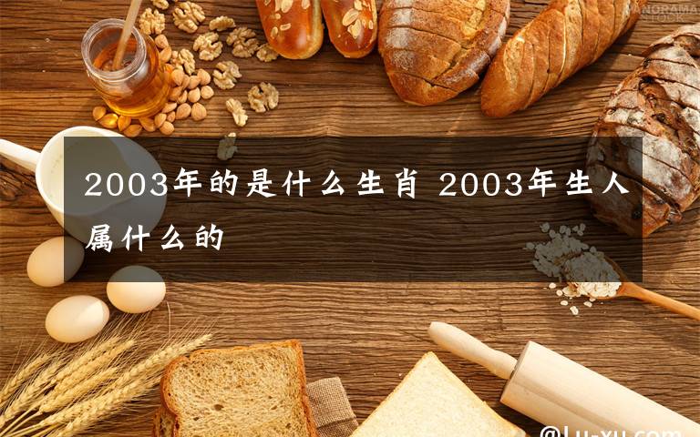 2003年的是什么生肖 2003年生人属什么的