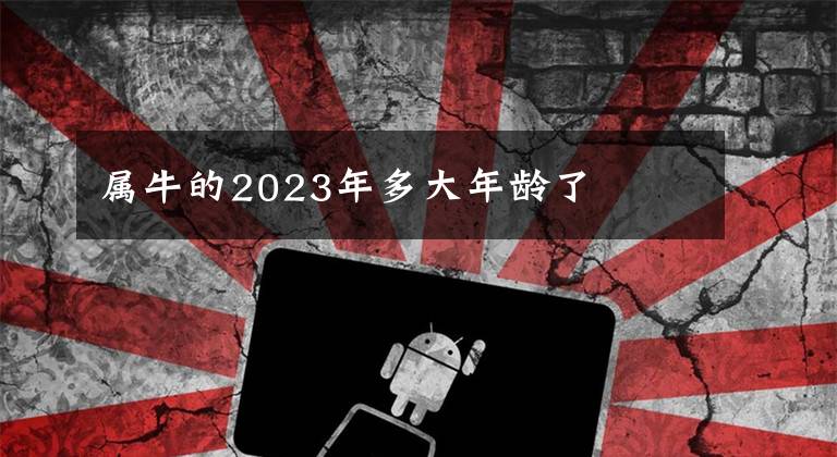 属牛的2023年多大年龄了