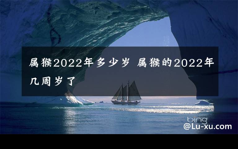 属猴2022年多少岁 属猴的2022年几周岁了