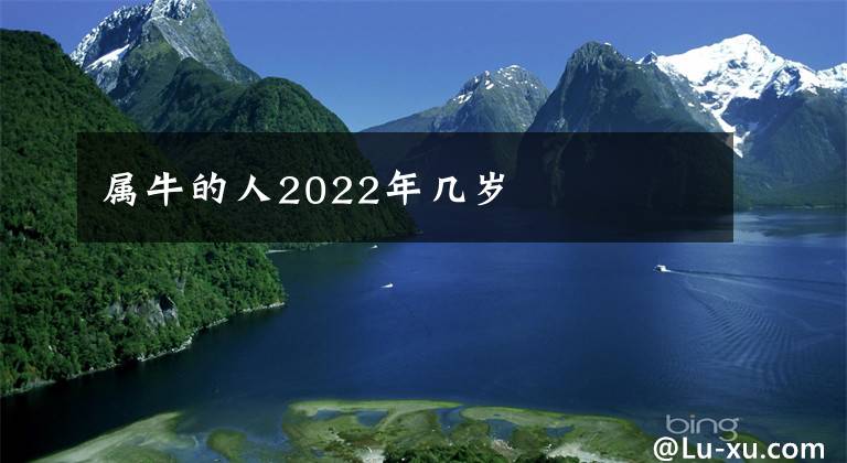 属牛的人2022年几岁