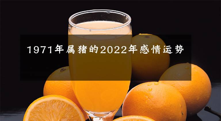 1971年属猪的2022年感情运势