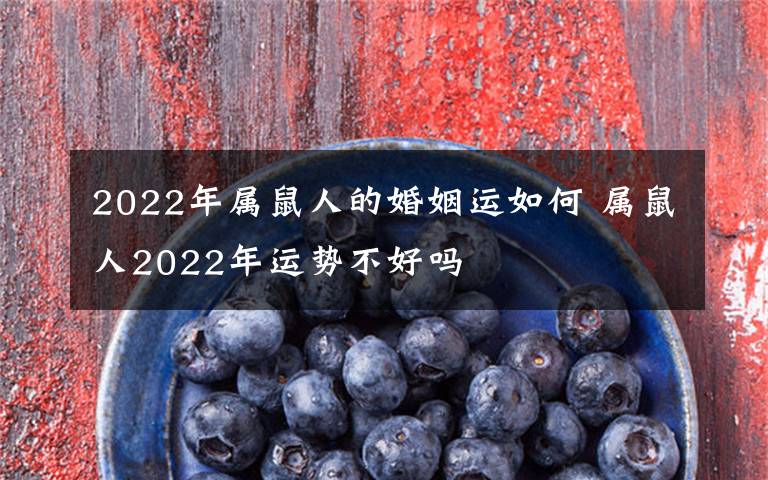 2022年属鼠人的婚姻运如何 属鼠人2022年运势不好吗