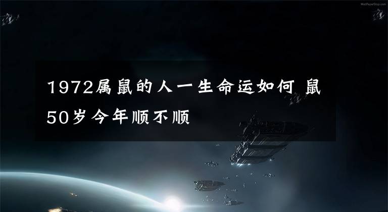 1972属鼠的人一生命运如何 鼠50岁今年顺不顺