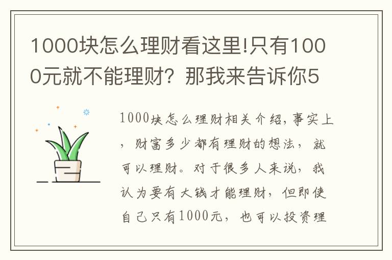 1000块怎么理财看这里!只有1000元就不能理财？那我来告诉你5种1000元财富增值的方式