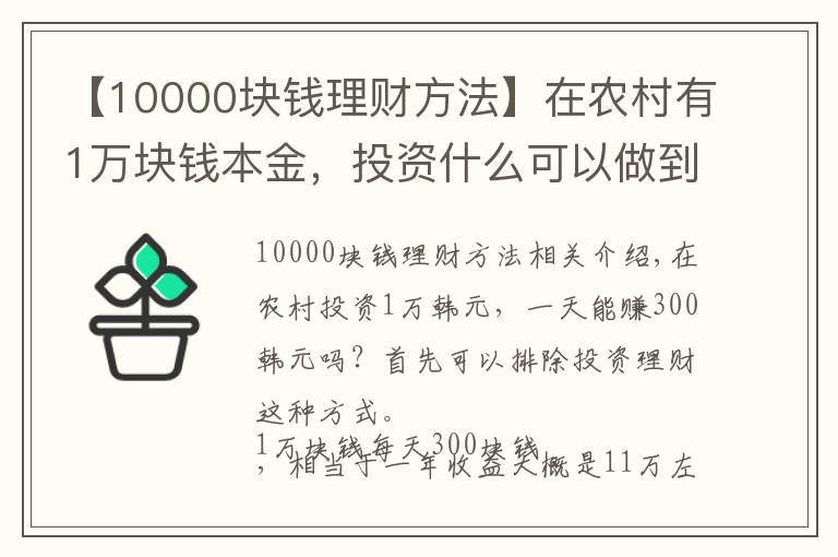 【10000块钱理财方法】在农村有1万块钱本金，投资什么可以做到日收入300元？