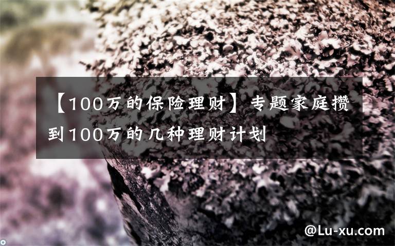 【100万的保险理财】专题家庭攒到100万的几种理财计划