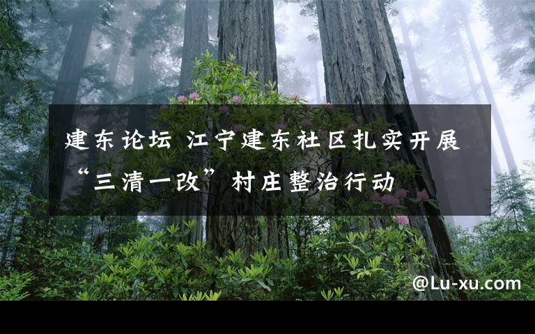 建东论坛 江宁建东社区扎实开展“三清一改”村庄整治行动