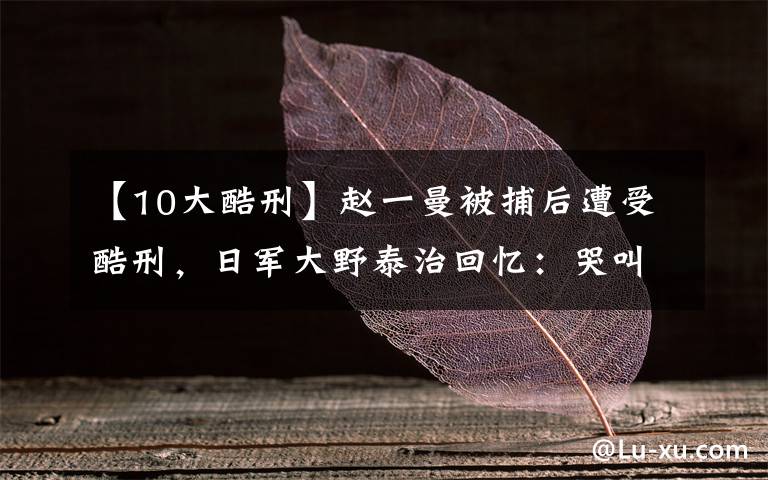 【10大酷刑】赵一曼被捕后遭受酷刑，日军大野泰治回忆：哭叫声让我毕生难忘