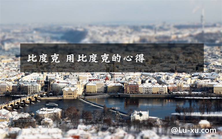 比度克 用比度克的心得文章配图
