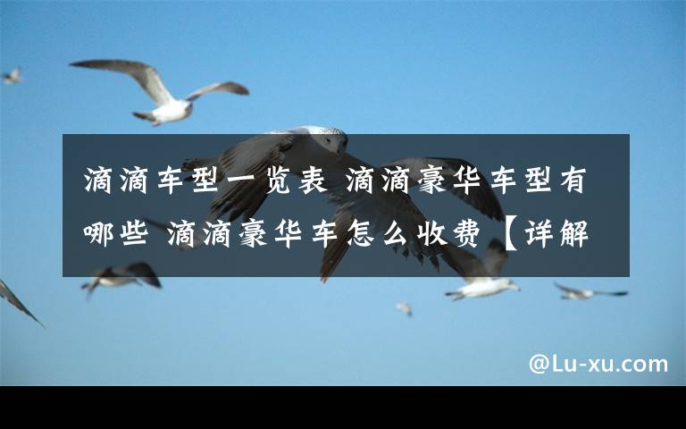 滴滴车型一览表 滴滴豪华车型有哪些 滴滴豪华车怎么收费【详解】文章配图