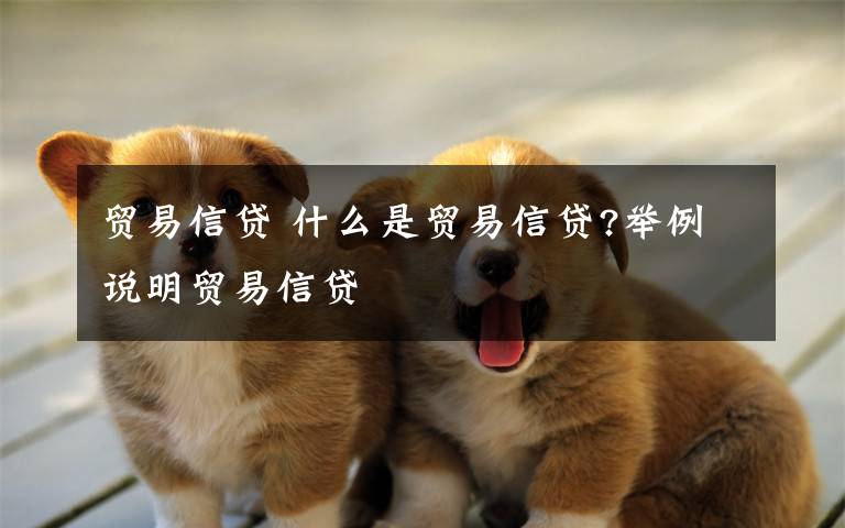 贸易信贷 什么是贸易信贷?举例说明贸易信贷文章配图
