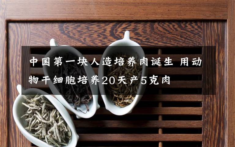 中国第一块人造培养肉诞生 用动物干细胞培养20天产5克肉文章配图