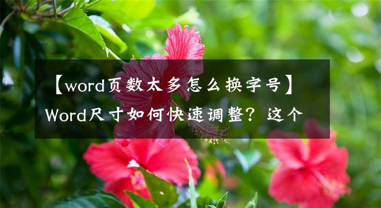 【word页数太多怎么换字号】Word尺寸如何快速调整？这个小技巧要记住！还有一秒钟！