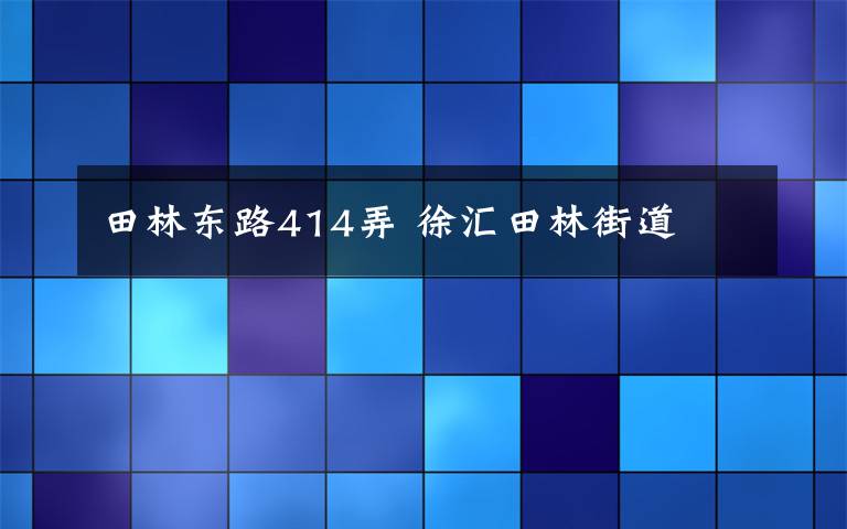 田林东路414弄 徐汇田林街道