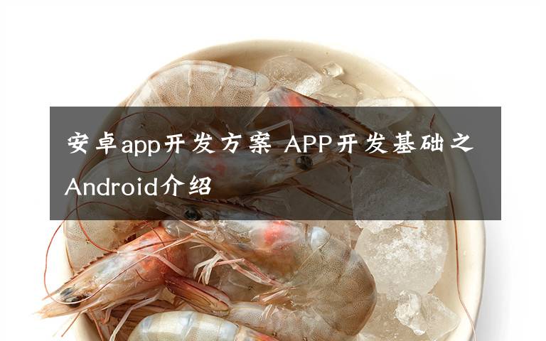 安卓app开发方案 APP开发基础之Android介绍文章配图