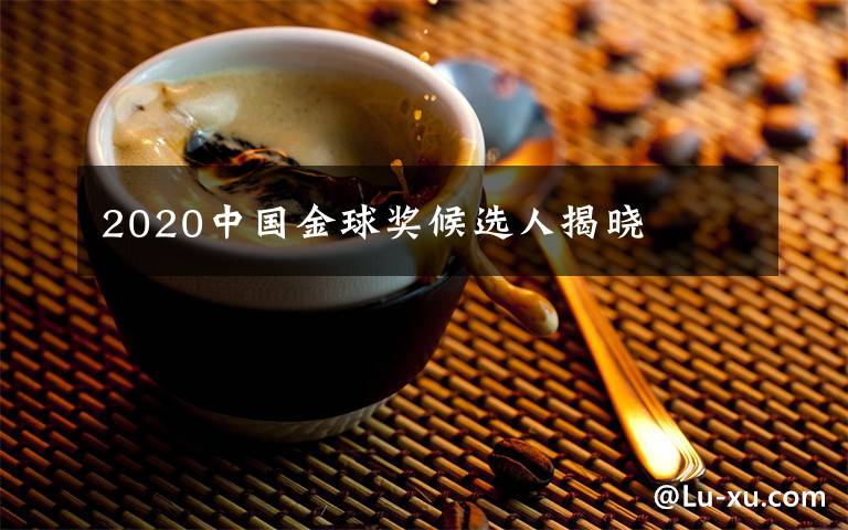 2020中国金球奖候选人揭晓