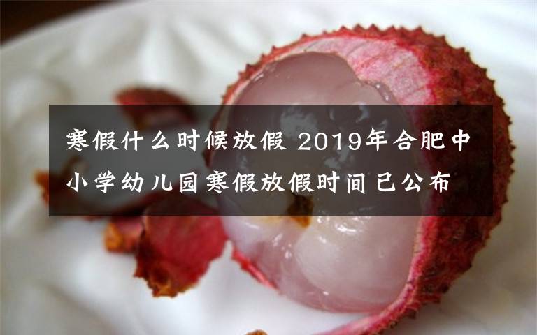 寒假什么时候放假 2019年合肥中小学幼儿园寒假放假时间已公布 1月24日开始放假