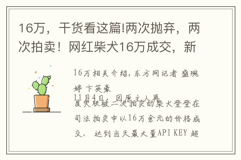 16万，干货看这篇!两次抛弃，两次拍卖！网红柴犬16万成交，新主人：任何条件都不会交还