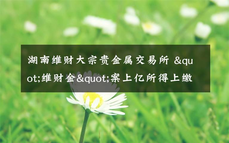 湖南维财大宗贵金属交易所 "维财金"案上亿所得上缴国库 受害者血本无归