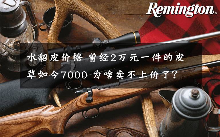 水貂皮价格 曾经2万元一件的皮草如今7000 为啥卖不上价了？