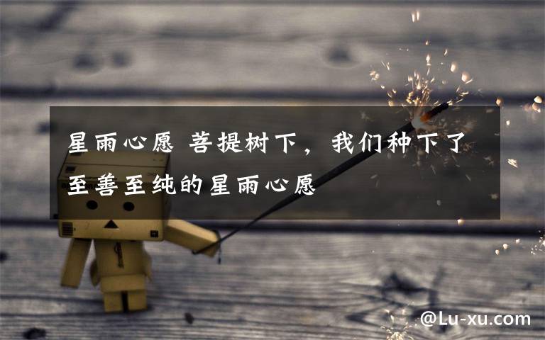 星雨心愿 菩提树下，我们种下了至善至纯的星雨心愿