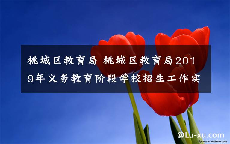 桃城区教育局 桃城区教育局2019年义务教育阶段学校招生工作实施意见