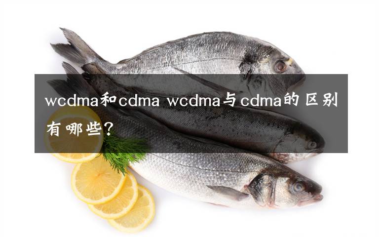 wcdma和cdma wcdma与cdma的区别有哪些？