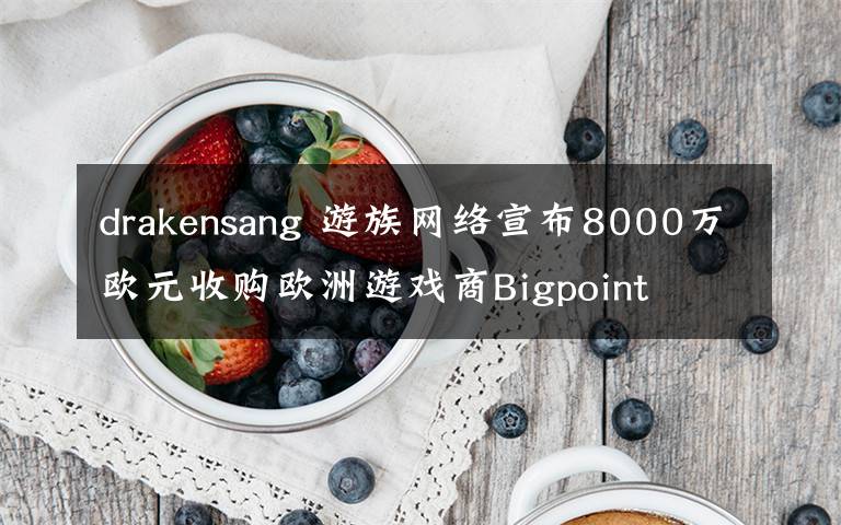 drakensang 游族网络宣布8000万欧元收购欧洲游戏商Bigpoint