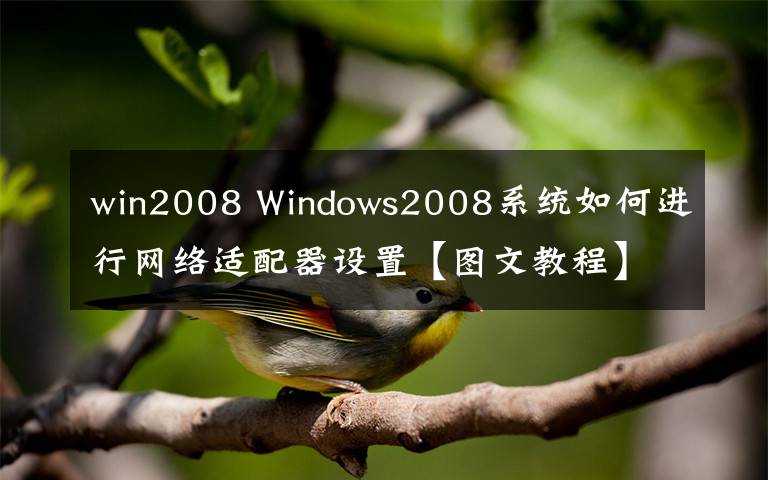 win2008 Windows2008系统如何进行网络适配器设置【图文教程】