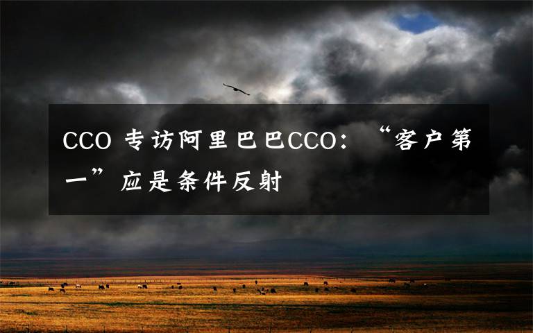 CCO 专访阿里巴巴CCO：“客户第一”应是条件反射