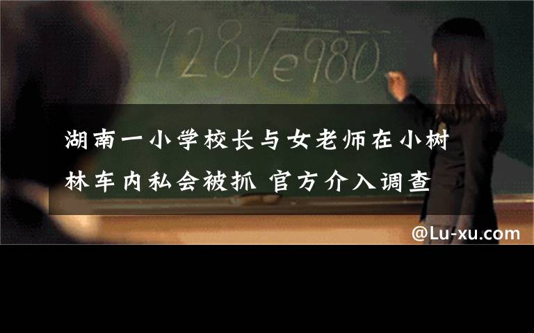 湖南一小学校长与女老师在小树林车内私会被抓 官方介入调查