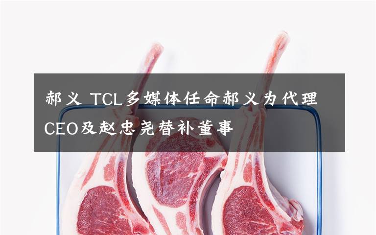 郝义 TCL多媒体任命郝义为代理CEO及赵忠尧替补董事
