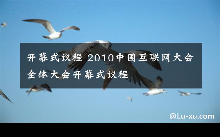 开幕式议程 2010中国互联网大会全体大会开幕式议程