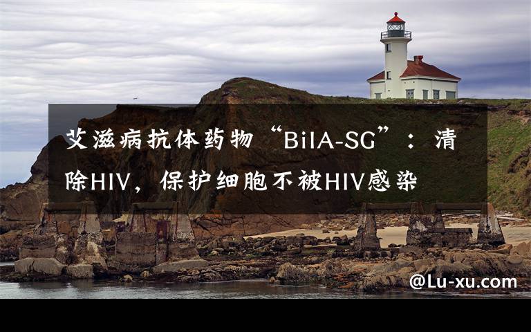 艾滋病抗体药物“BiIA-SG”：清除HIV，保护细胞不被HIV感染