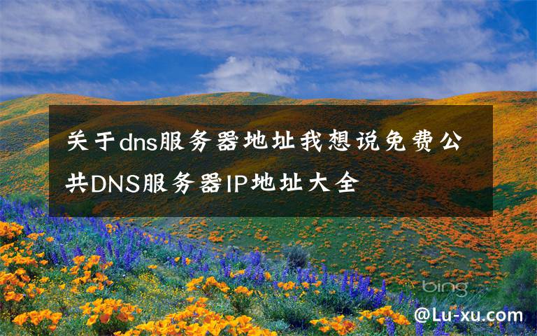 关于dns服务器地址我想说免费公共DNS服务器IP地址大全