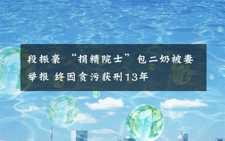 段振豪 “捐精院士”包二奶被妻举报 终因贪污获刑13年