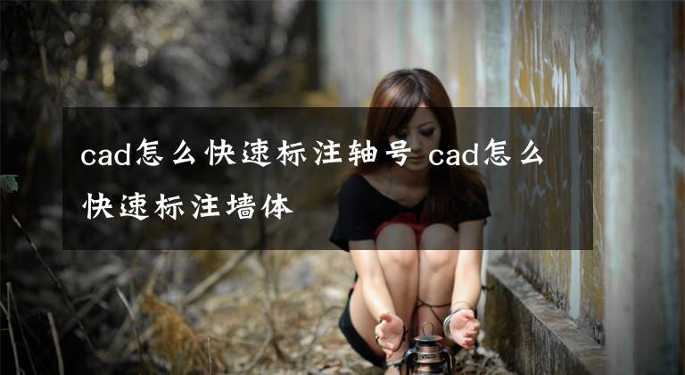 cad怎么快速标注轴号 cad怎么快速标注墙体