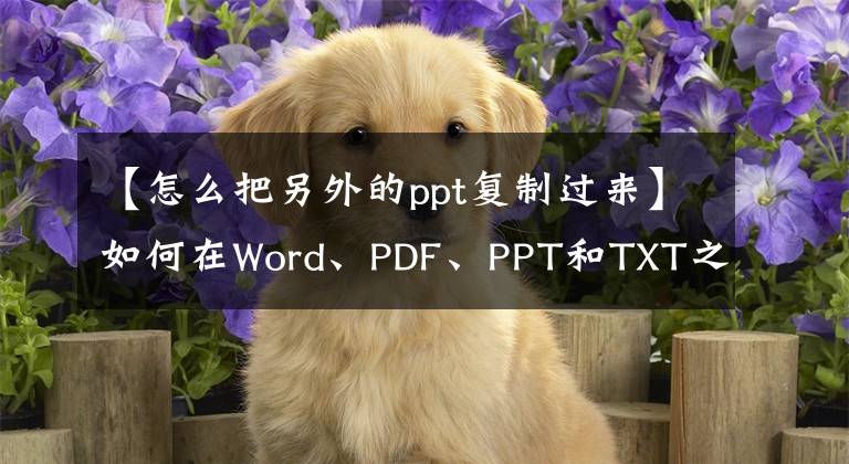 【怎么把另外的ppt复制过来】如何在Word、PDF、PPT和TXT之间转换！白领一族转身