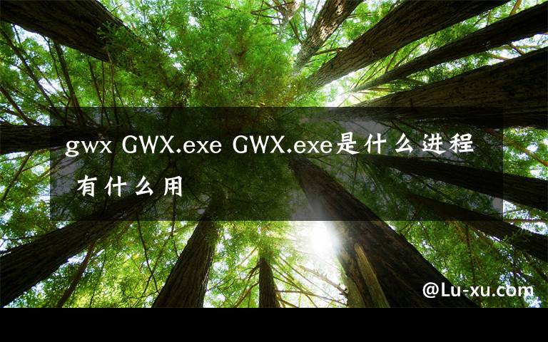gwx GWX.exe GWX.exe是什么进程 有什么用