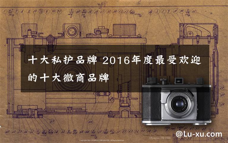 十大私护品牌 2016年度最受欢迎的十大微商品牌