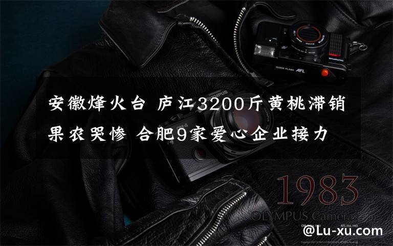 安徽烽火台 庐江3200斤黄桃滞销果农哭惨 合肥9家爱心企业接力半天买光