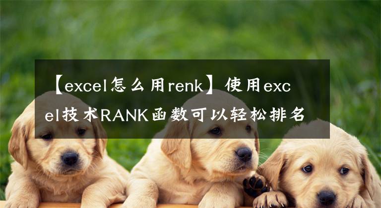 【excel怎么用renk】使用excel技术RANK函数可以轻松排名。