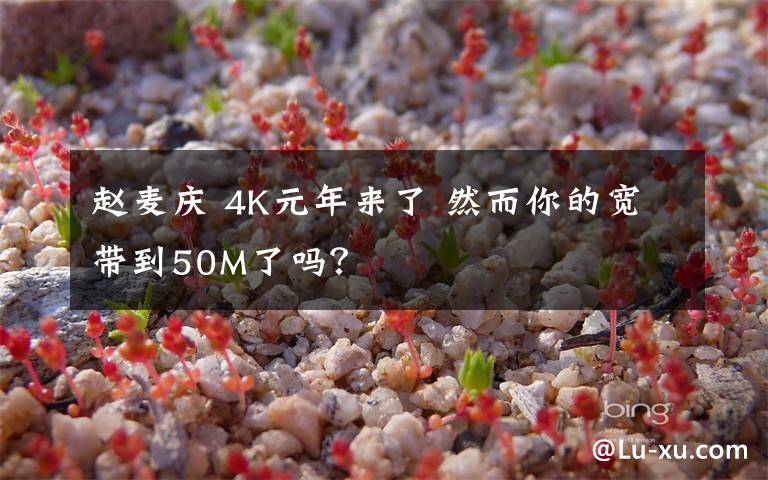 赵麦庆 4K元年来了 然而你的宽带到50M了吗？