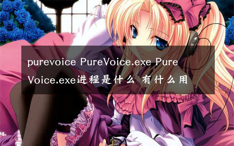 purevoice PureVoice.exe PureVoice.exe进程是什么 有什么用