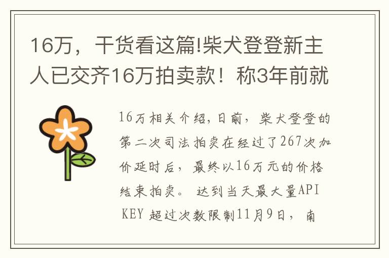 16万，干货看这篇!柴犬登登新主人已交齐16万拍卖款！称3年前就开始关注它