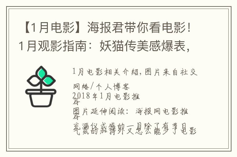 【1月电影】海报君带你看电影！1月观影指南：妖猫传美感爆表，阿米尔·汗新作来袭，娜塔莉·波特曼版"第一夫人"上线！