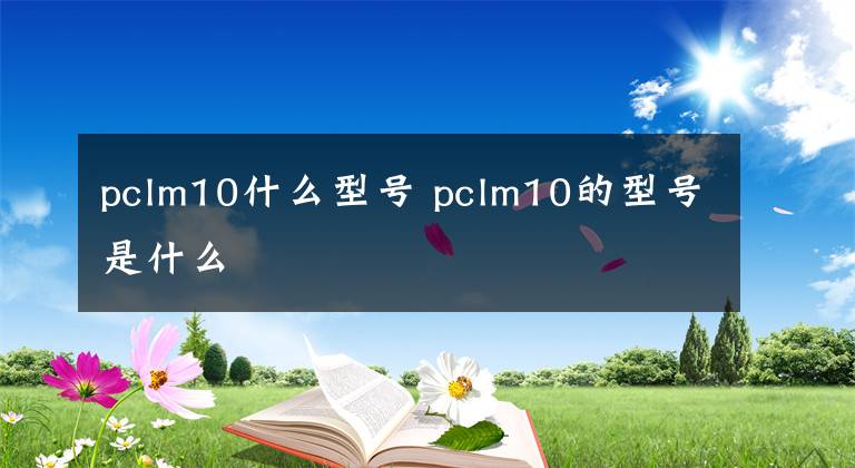 pclm10什么型号 pclm10的型号是什么