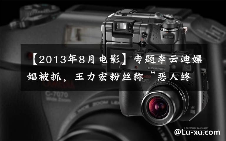 【2013年8月电影】专题李云迪嫖娼被抓，王力宏粉丝称“恶人终有报应”，他当年做啥了？